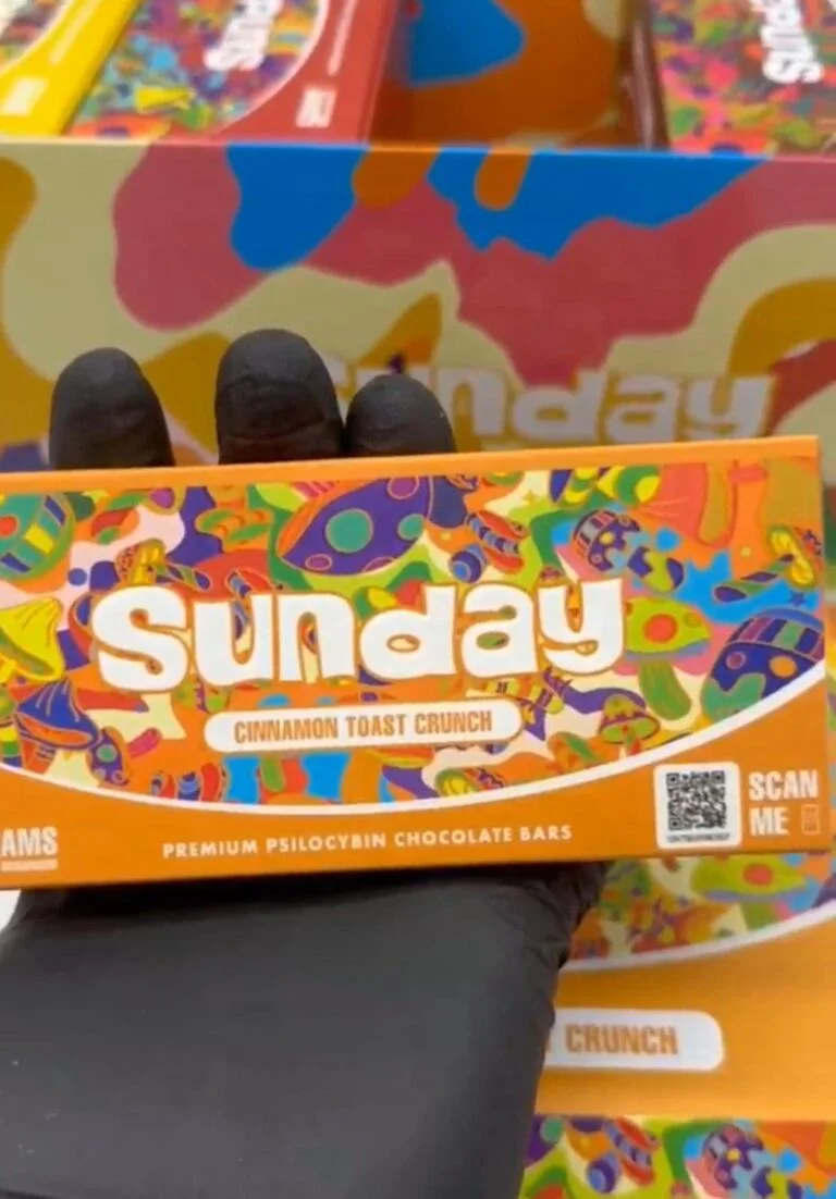 SUNDAY MUSHROOM CHCOLATE BAR